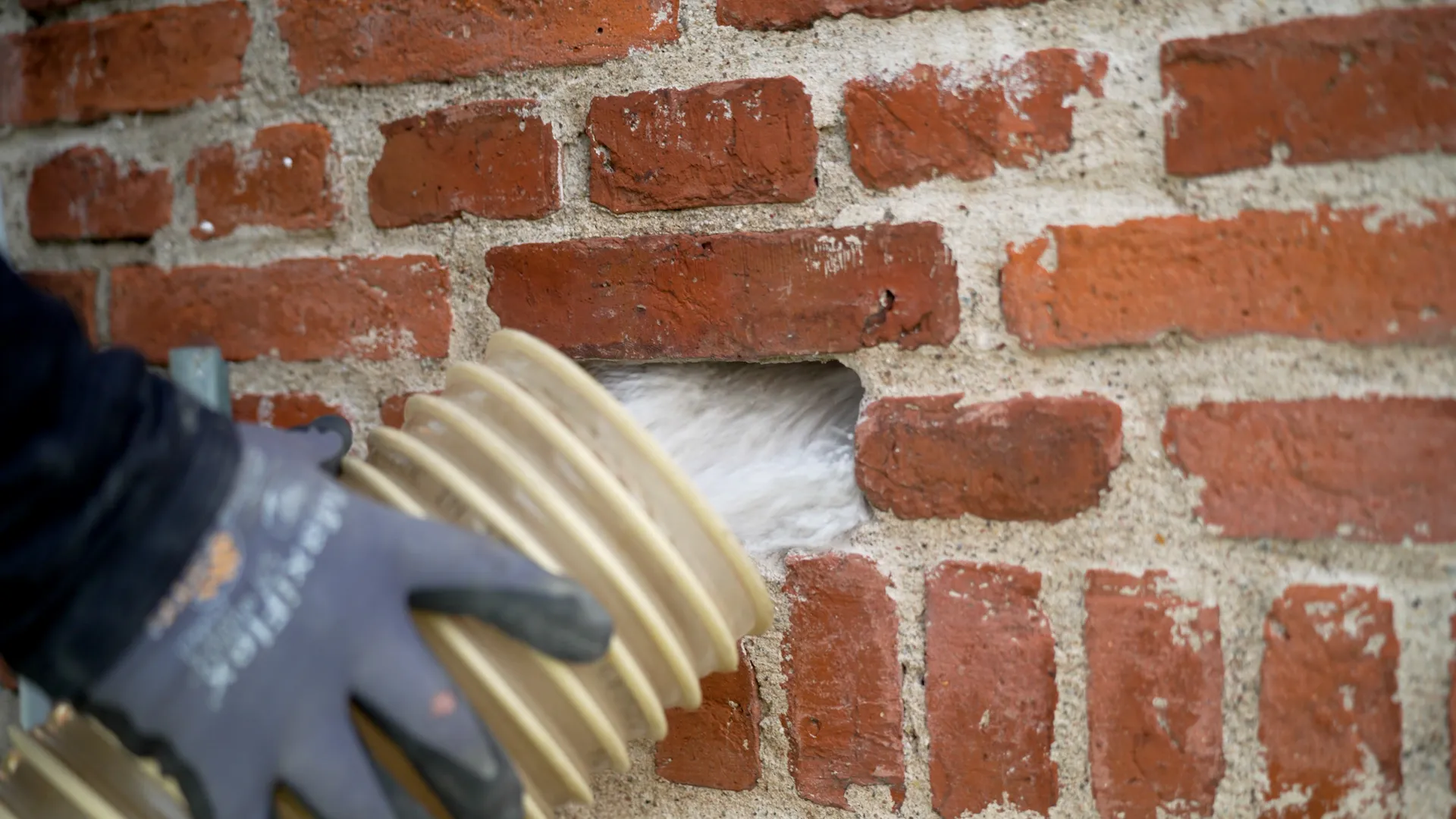 Calidi - udsugning af materiale