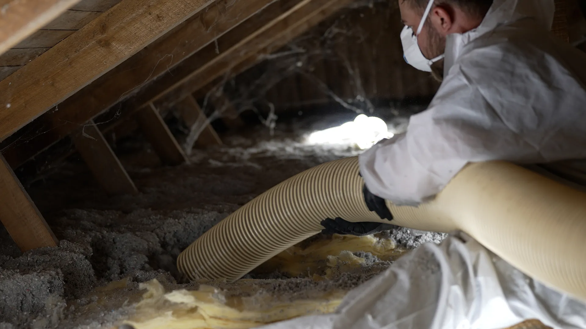 Fjernelse af isolering, professionel fjernelse efter rotteangreb