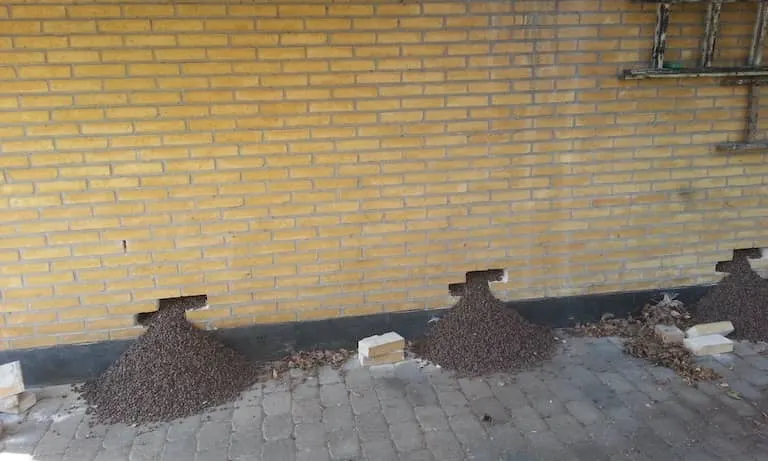 lecanødder -hulmursisolering af ydervæg